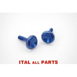 VIS PLATINE REPOSE PIED ( KIT 2 VIS TT007 ) POUR DUCATI...