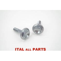 VIS PLATINE REPOSE PIED ( KIT 2 VIS TT007 ) POUR DUCATI...