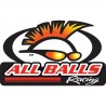 AllBals Racing